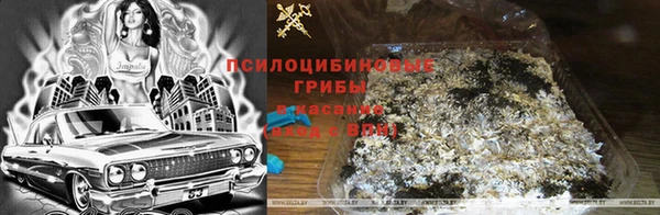мдпв Куйбышев