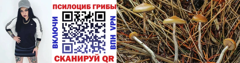 Псилоцибиновые грибы Psilocybine cubensis  купить наркоту  Ленинградская 
